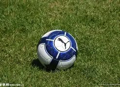 郭碧婷母女,游海洋公园,向佐相伴侧,龙8国际,龙8国际入口,龙8国际平台,龙8国际官方